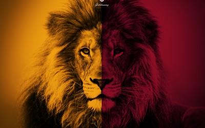 亚投国际热议-布翁焦尔诺这防守硬朗